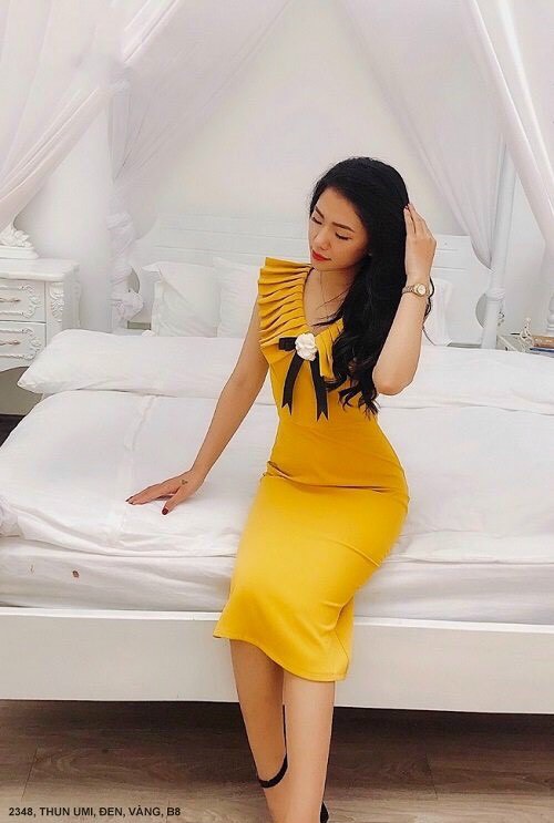 Đầm Ôm Cổ Tim - D2348